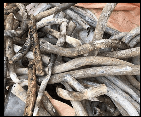 Lead Pipe